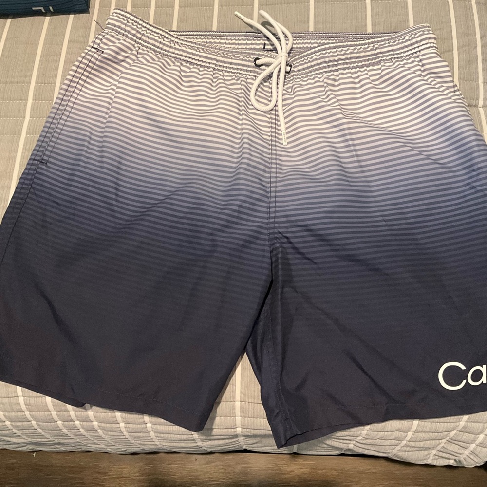 Calvin Klein Blue Gradient Swim Shorts